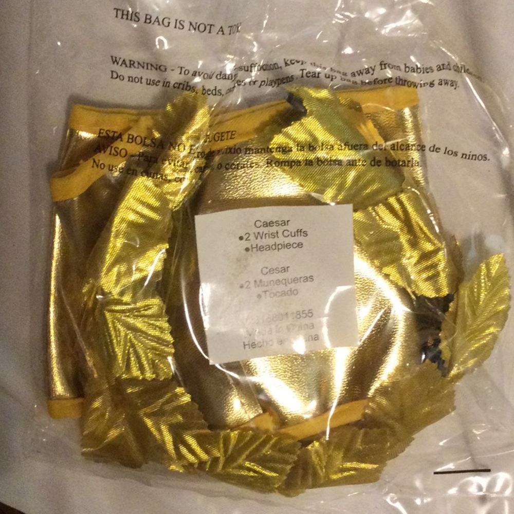 Men’s Caesar costume size 2X - Picture 5 of 8